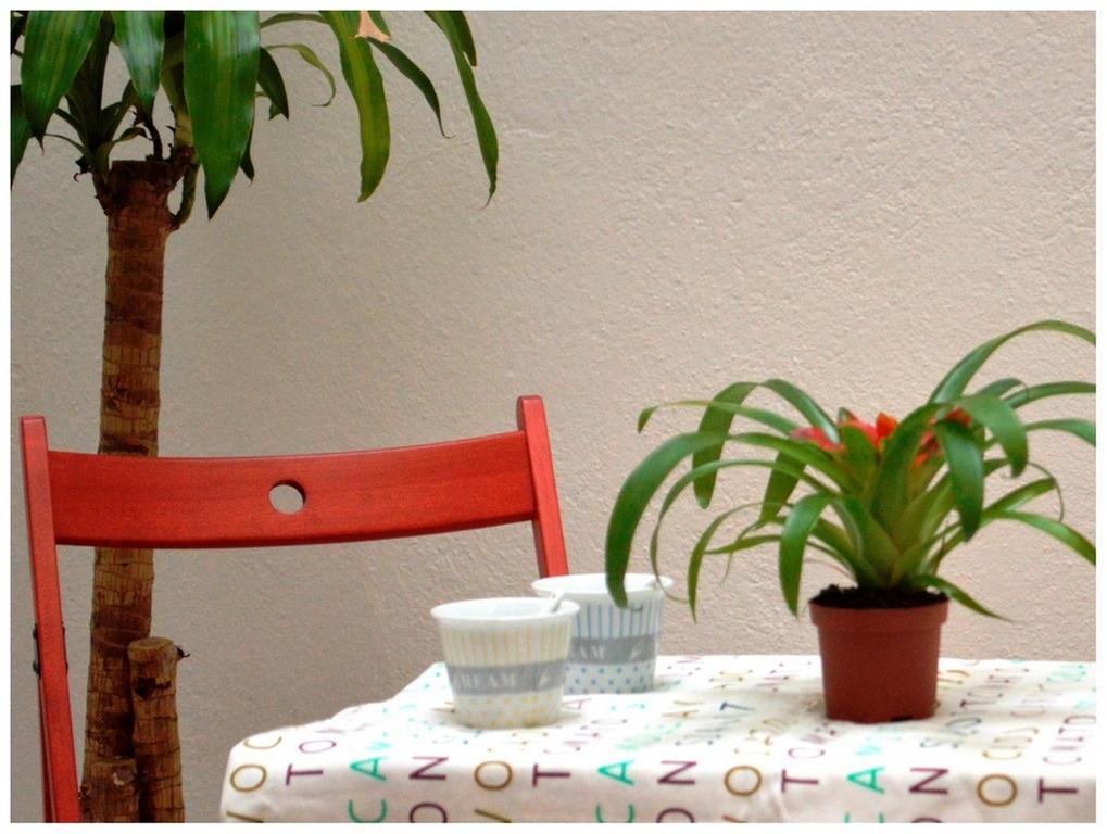 Colegiata Home Talavera de la Reina Zewnętrze zdjęcie